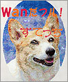 Wanだフル! x すてっち
