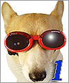 犬用ゴーグルILS