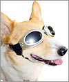 犬用ゴーグル
