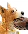 My Dog コレクション - Special Edition