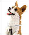 My Dog コレクション