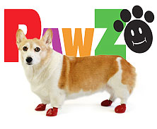 PAWZラバーブーツ