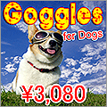 犬用ゴーグル