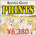 Sandra Coen プリント